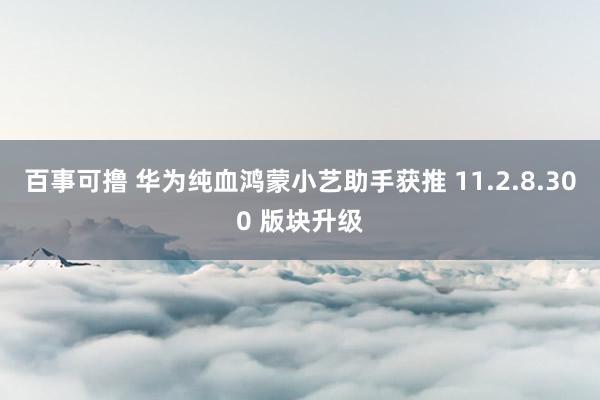 百事可撸 华为纯血鸿蒙小艺助手获推 11.2.8.300 版块升级